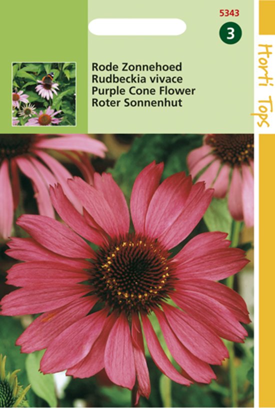 Zonnehoed rood (Echinacea purpurea) 90 zaden HT
